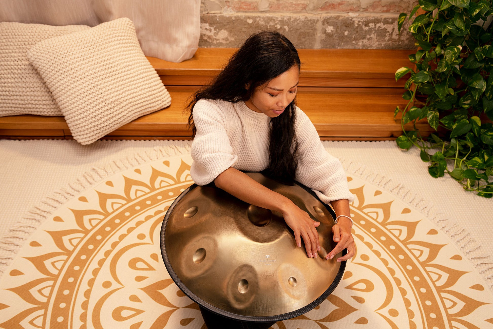 MEINL Sonic Energy Sensory Handpan Stainless Steel D Amara 9 Notes 440 Hz - Vintage Gold detail view 4 at Luna Panther