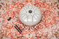 MEINL Sonic Energy Steel Tongue Drum 12" - G Minor/8 Notes/440 Hz - Pearl Grey detail view 2 at Luna Panther