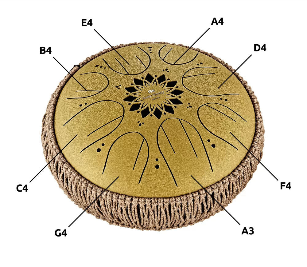 MEINL Sonic Energy Medium Octave Steel Tongue Drum 10" - C Major/8 Notes/432 Hz - Gold detail view 11 at Luna Panther