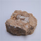 Calcite & Baryte from Tenter Hill, Bramham, West Yorkshire - 98.57g