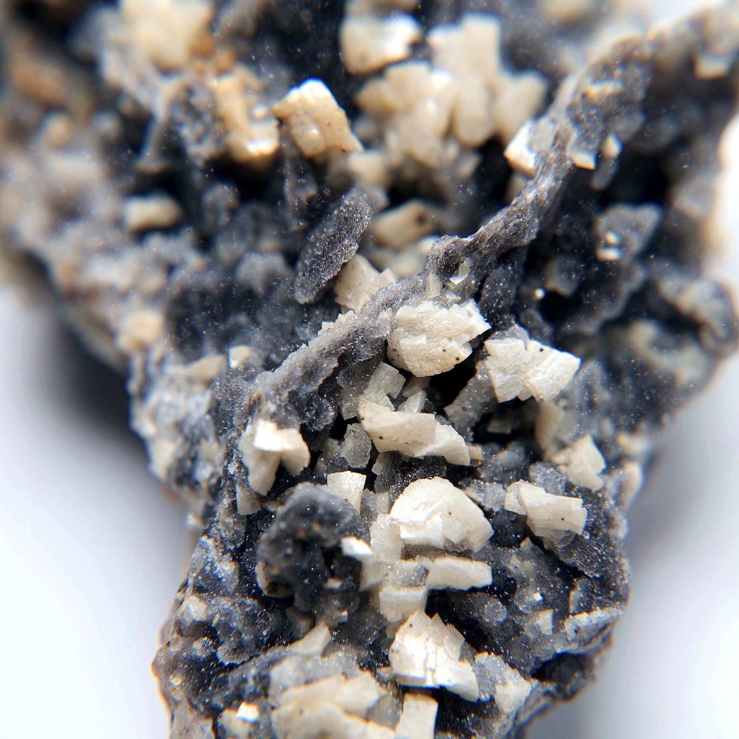Calcite Crystal Cluster on Dark Matrix - 132g - Luna Panther
