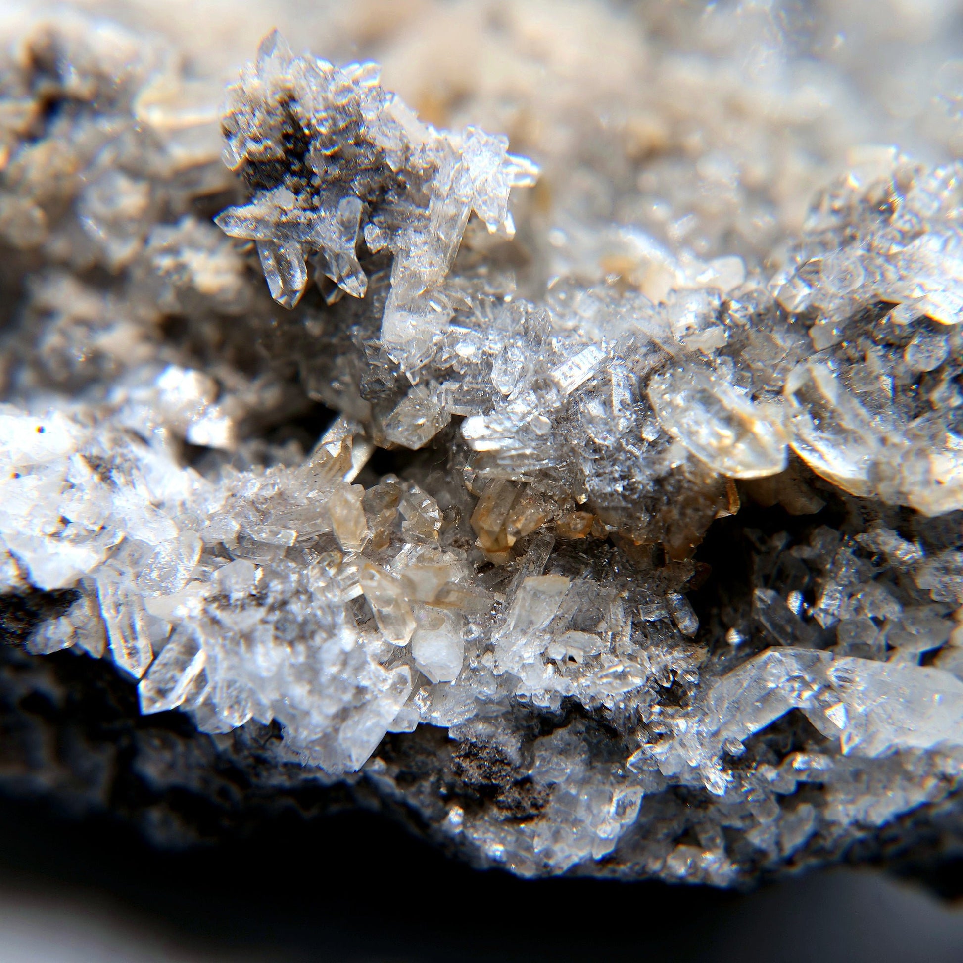 Calcite Crystal Cluster on Dark Matrix - 94g - Luna Panther
