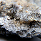 Calcite Crystal Cluster on Dark Matrix - 94g - Luna Panther