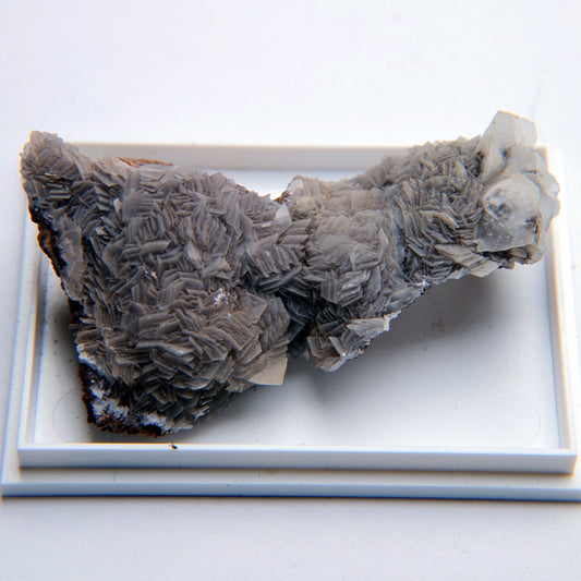 Calcite from Creigiau Quarry, Creigiau, South Wales - 35.67g - Luna Panther alternate view