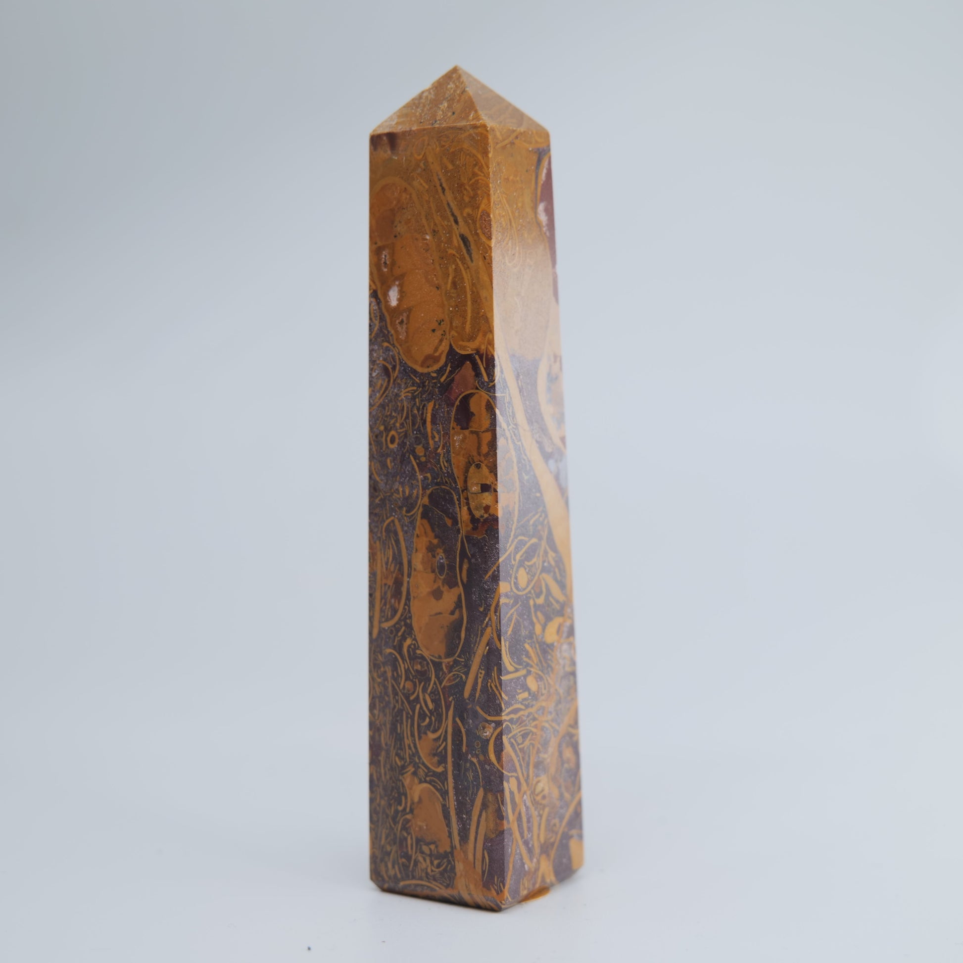 Caligraphy Jasper 105g - Luna Panther