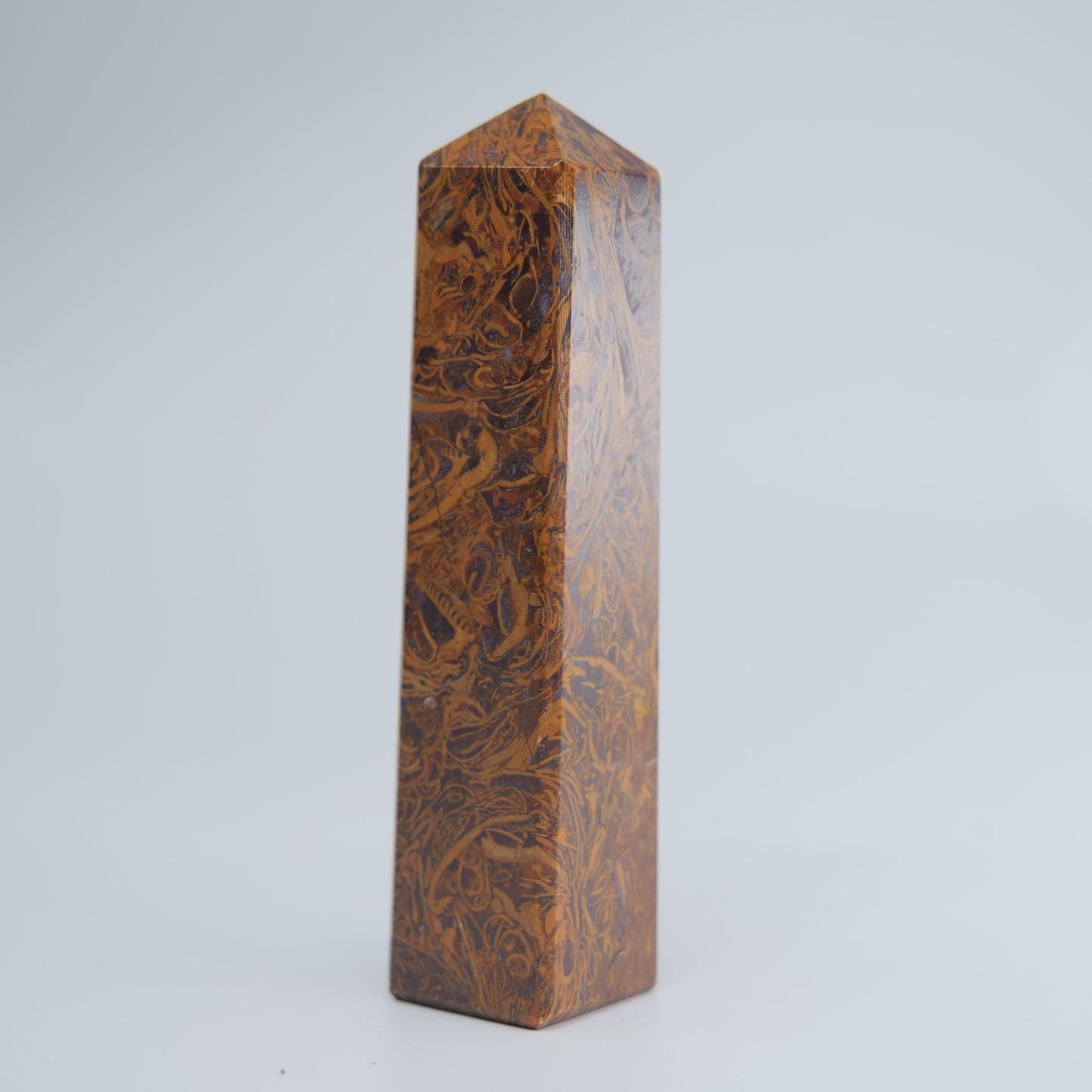 Caligraphy Jasper 112g - Luna Panther