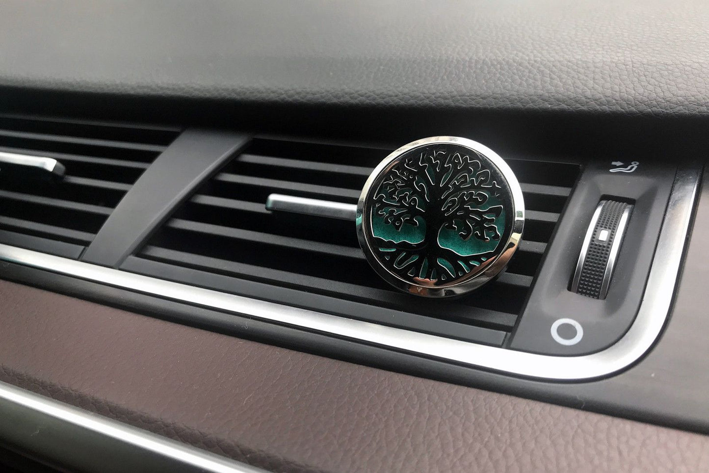 Car Diffuser Kit - Angel Wings - 30mm - Luna Panther