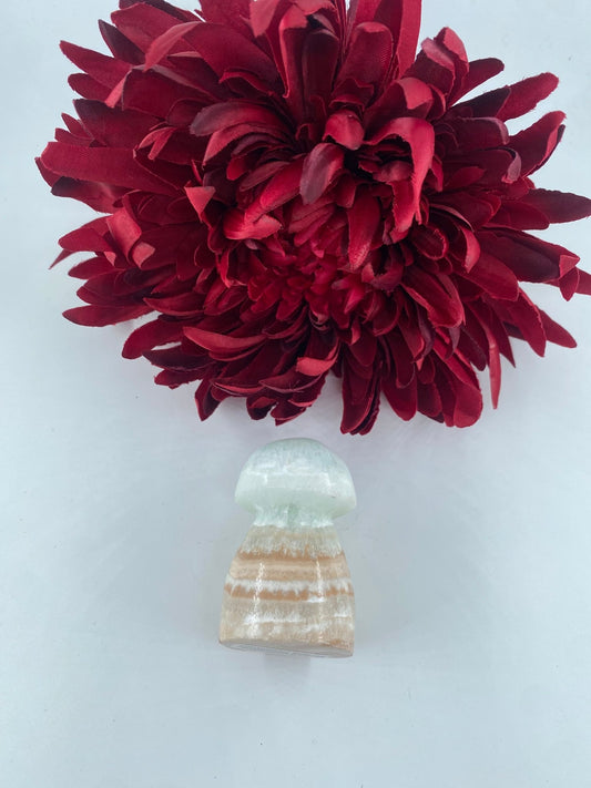 Polished Caribbean Calcite Mushroom featuring soft translucent tone and gentle sheen - Luna Panther alternate view