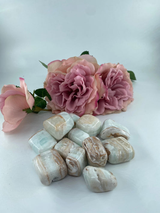 Polished Caribbean Calcite - Tumble Stone featuring soft translucent tone and gentle sheen - Luna Panther
