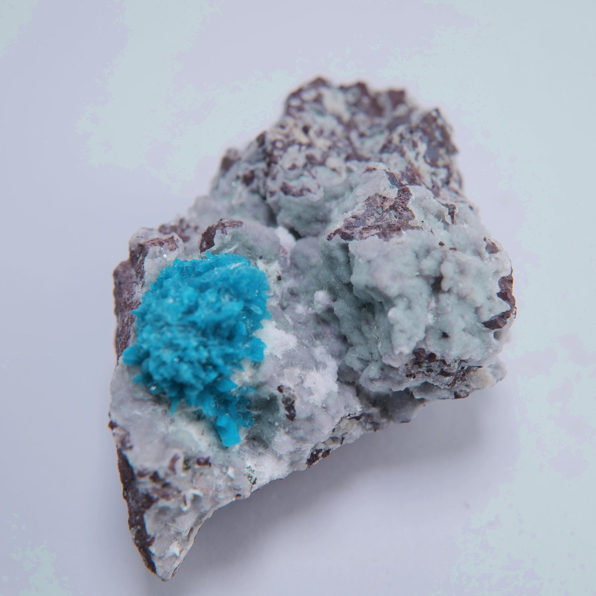 Cavansite from Poona (Pune), India - 78.86g - Luna Panther