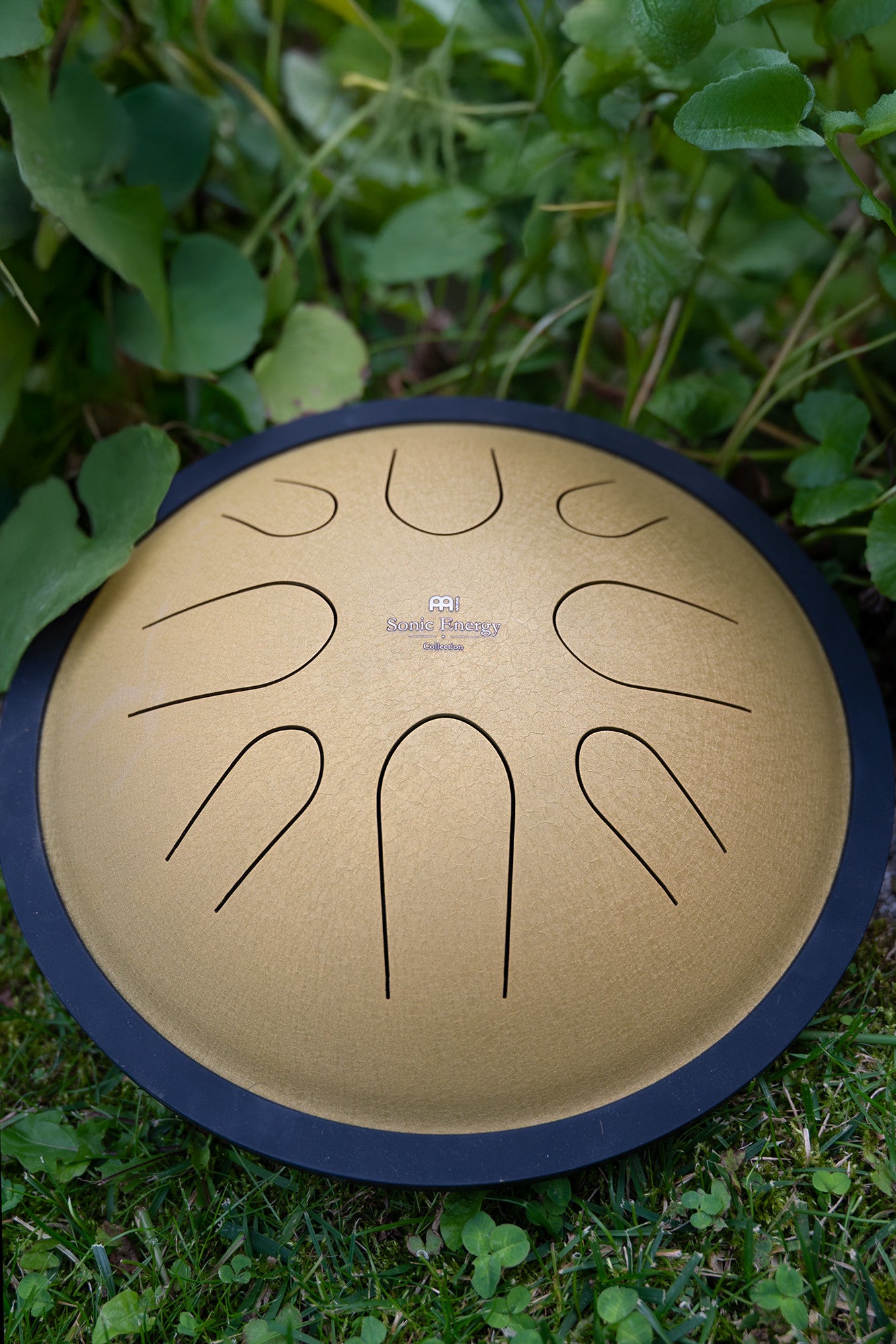MEINL Sonic Energy Compact Steel Tongue Drum 10" - D Minor/8 Notes/432 Hz - Gold detail view 7 at Luna Panther