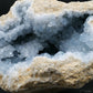 Natural Celestite Geode Cluster 3579G featuring pale sky-blue tone and soft translucence - Luna Panther