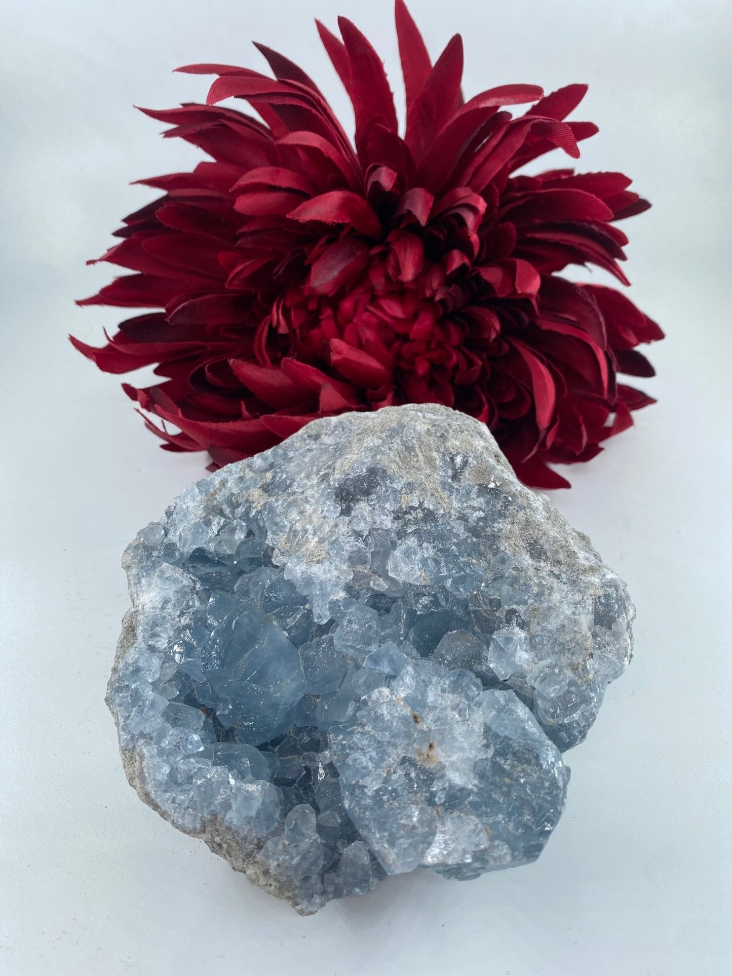 Natural Celestite Rough Form 832G featuring pale sky-blue tone and soft translucence - Luna Panther