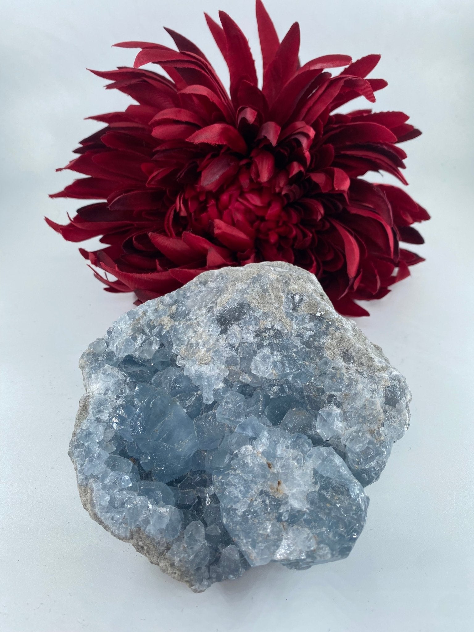 Natural Celestite Rough Form 832G featuring pale sky-blue tone and soft translucence - Luna Panther