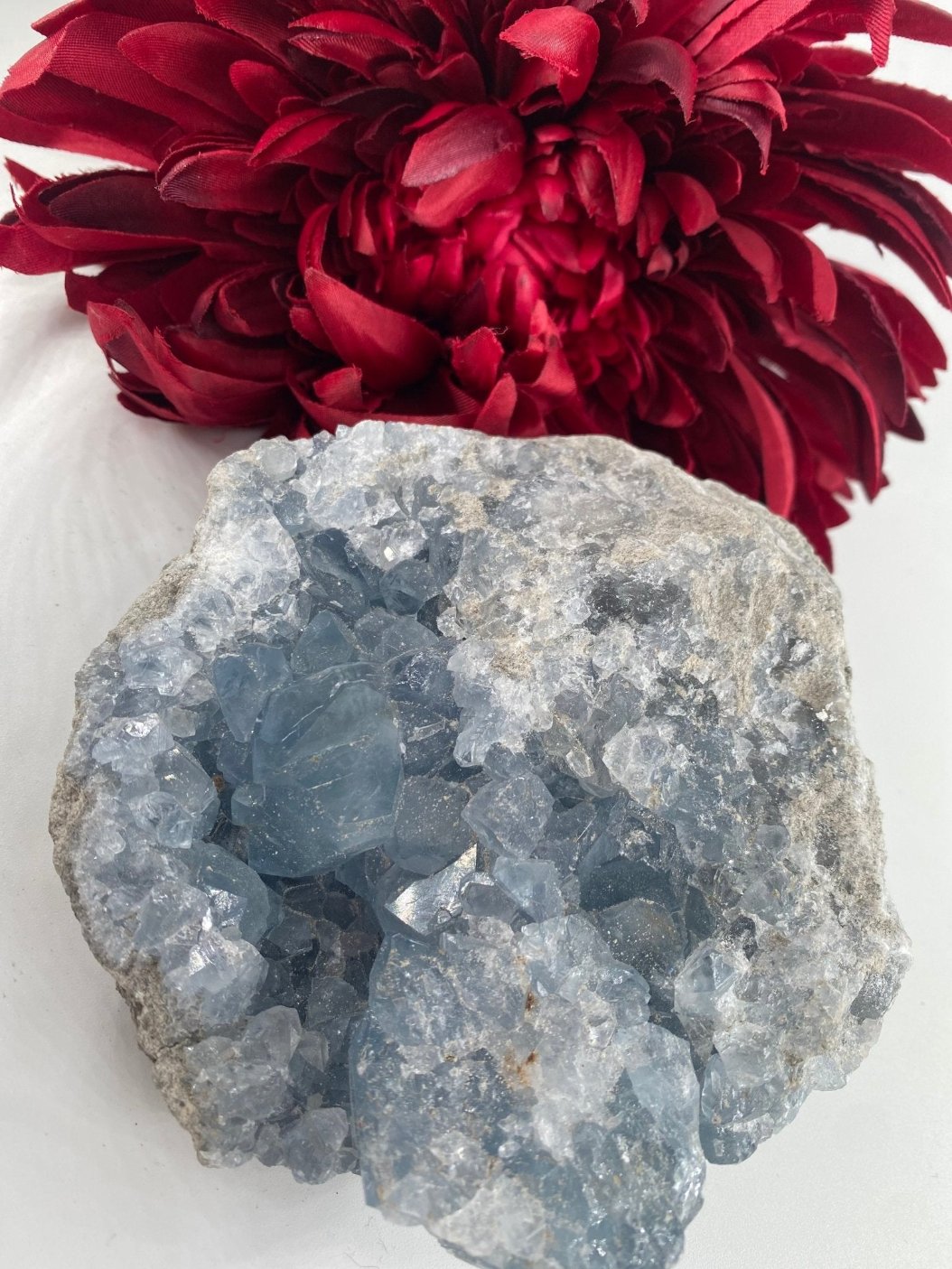 Natural Celestite - Rough Form 832g featuring pale sky-blue tone and soft translucence - Luna Panther