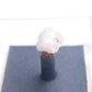 Chalcopyrite & Dolomite from Tynagh Mine, Killimor, Ireland - Thumbnail