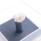 Chalcopyrite & Dolomite from Tynagh Mine, Killimor, Ireland - Thumbnail