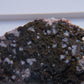 Chalcopyrite from Judkins Quarry, Nuneaton, Warwickshire - 12.84g