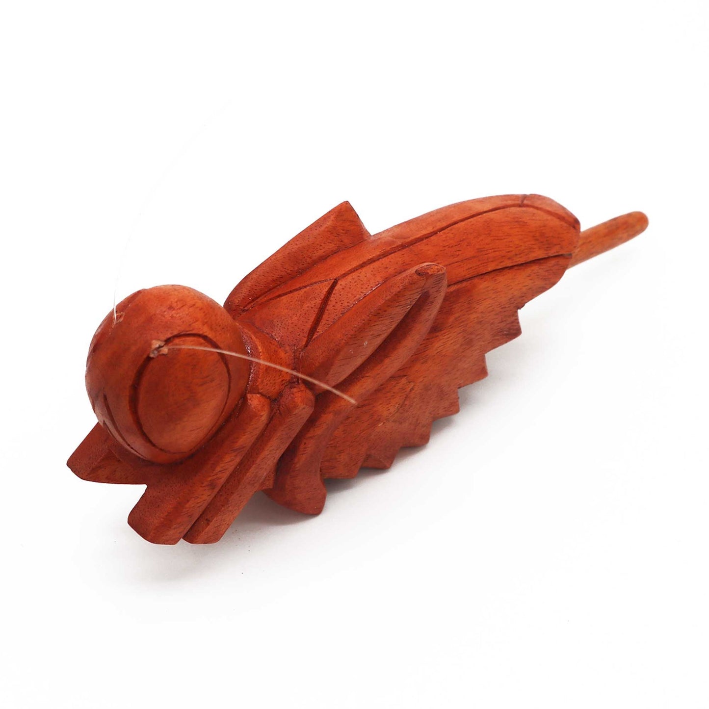 Chirping Wooden Grasshopper - Luna Panther
