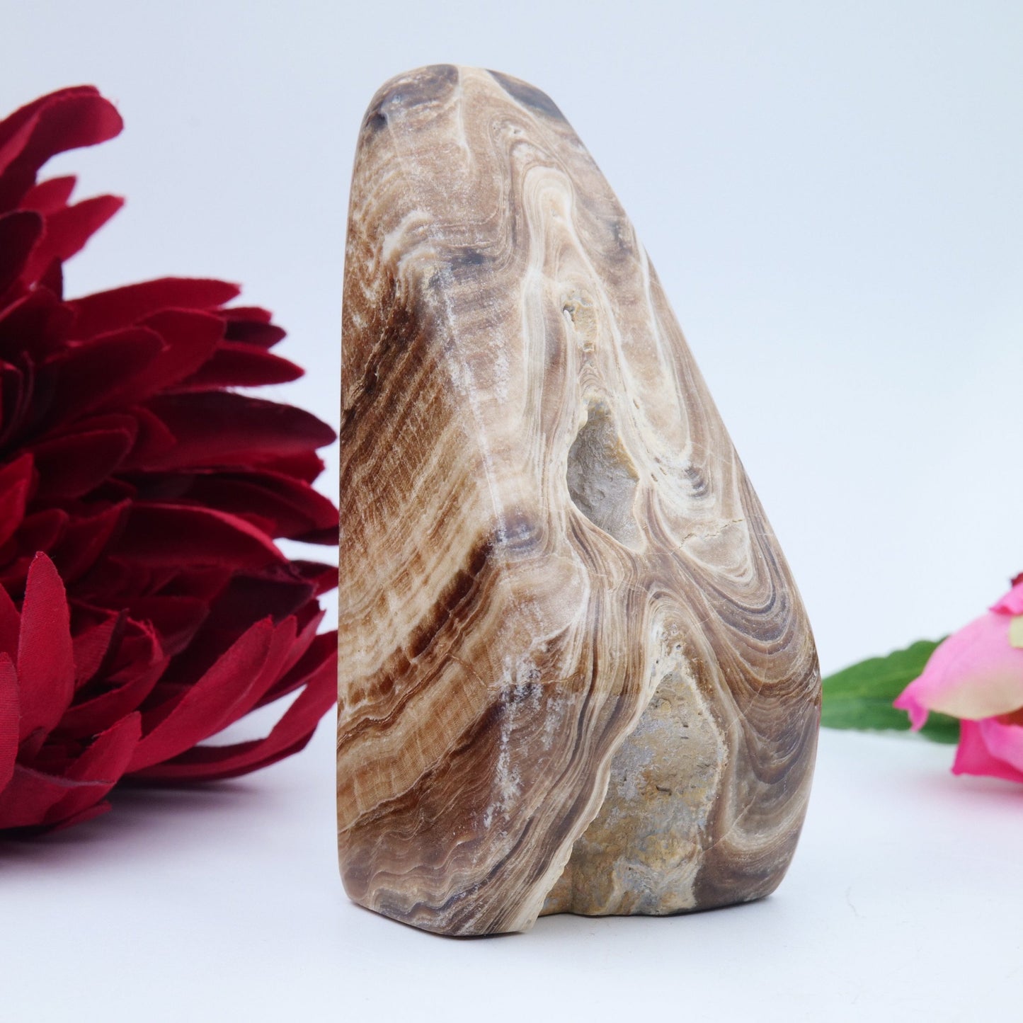 Chocolate Calcite Freeform — 328 g (105 mm) - Luna Panther