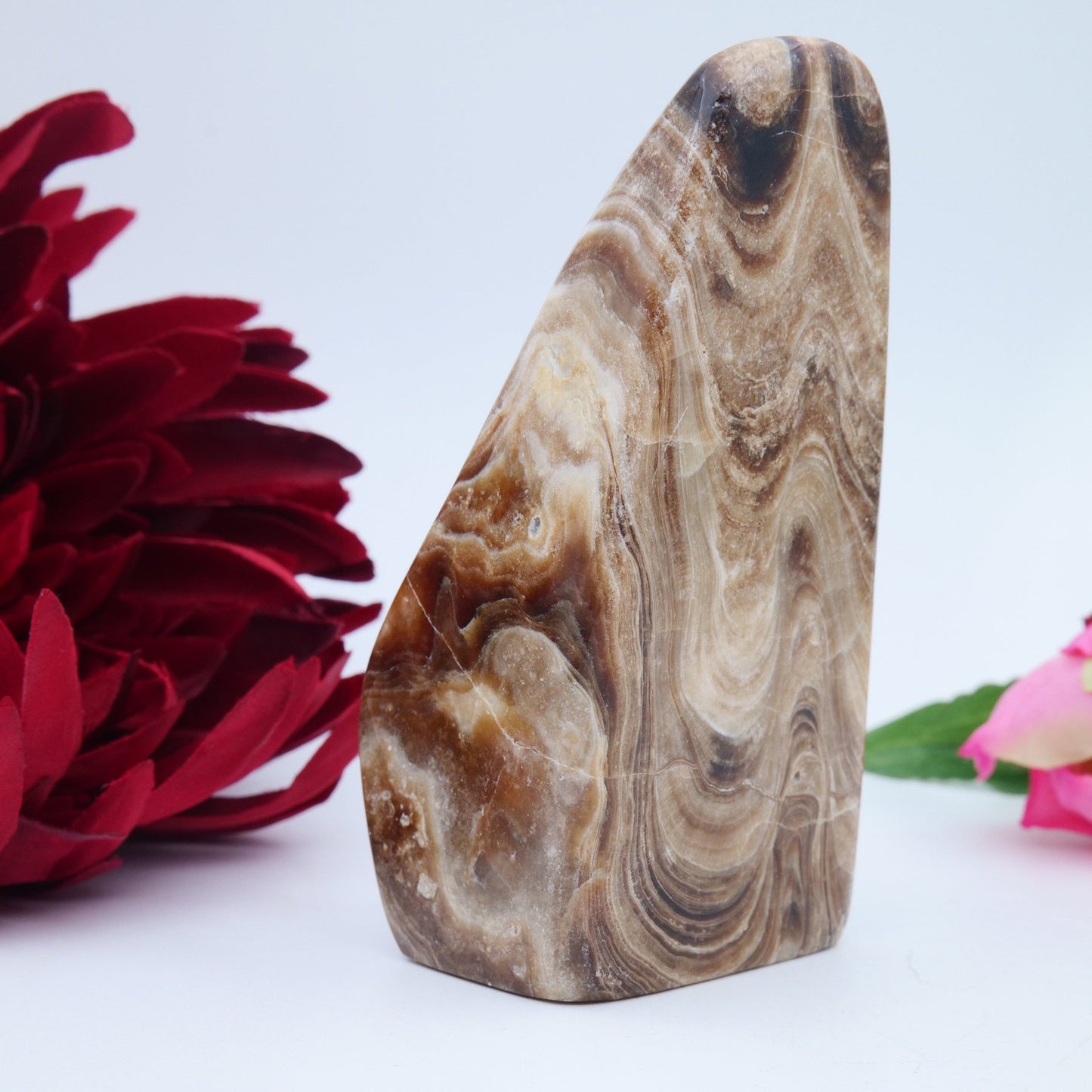 Chocolate Calcite Freeform — 328 g (105 mm) - Luna Panther