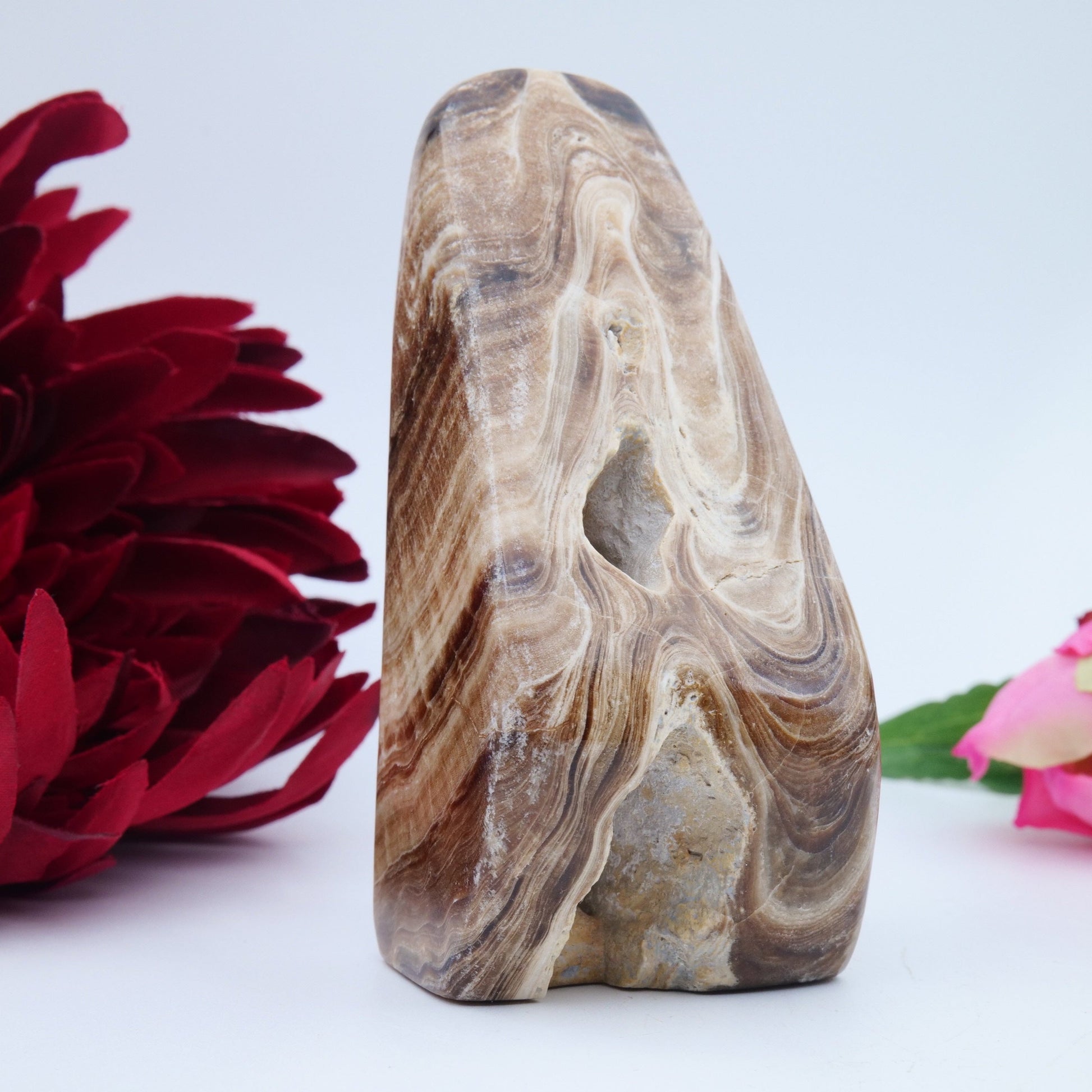 Chocolate Calcite Freeform — 328 g (105 mm) - Luna Panther