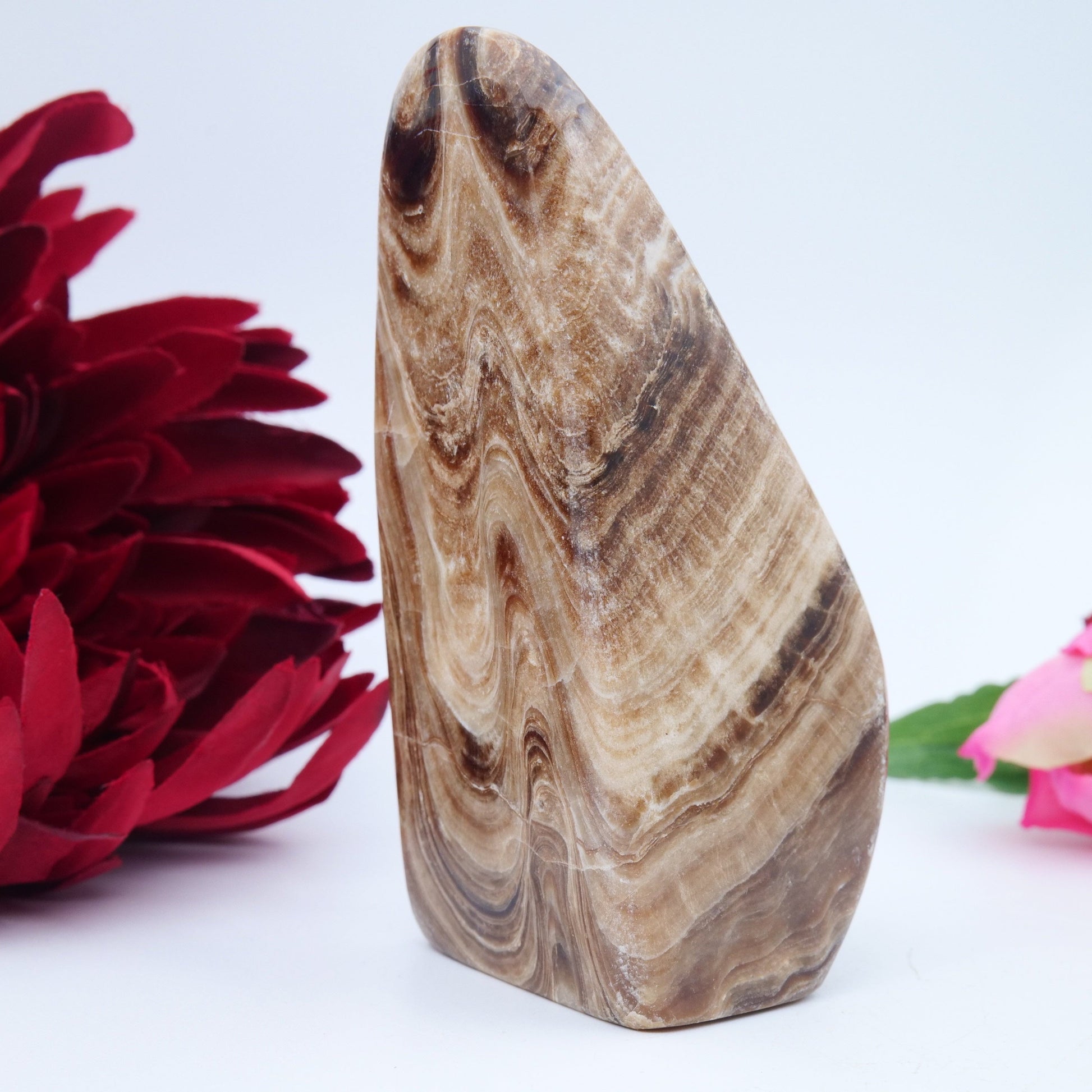 Chocolate Calcite Freeform — 328 g (105 mm) - Luna Panther