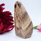 Chocolate Calcite Freeform — 328 g (105 mm) - Luna Panther