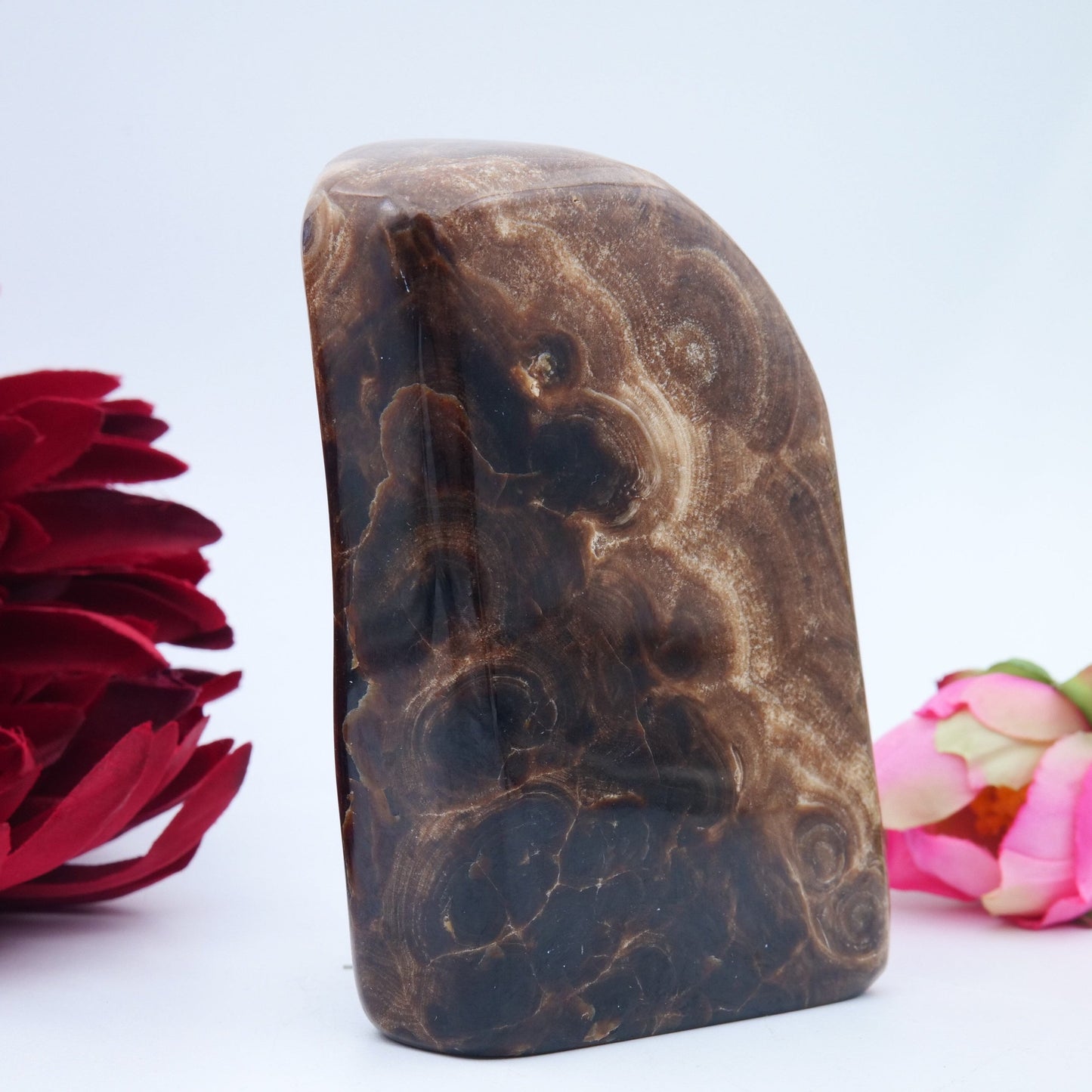 Chocolate Calcite Freeform — 508 g (103 mm) - Luna Panther