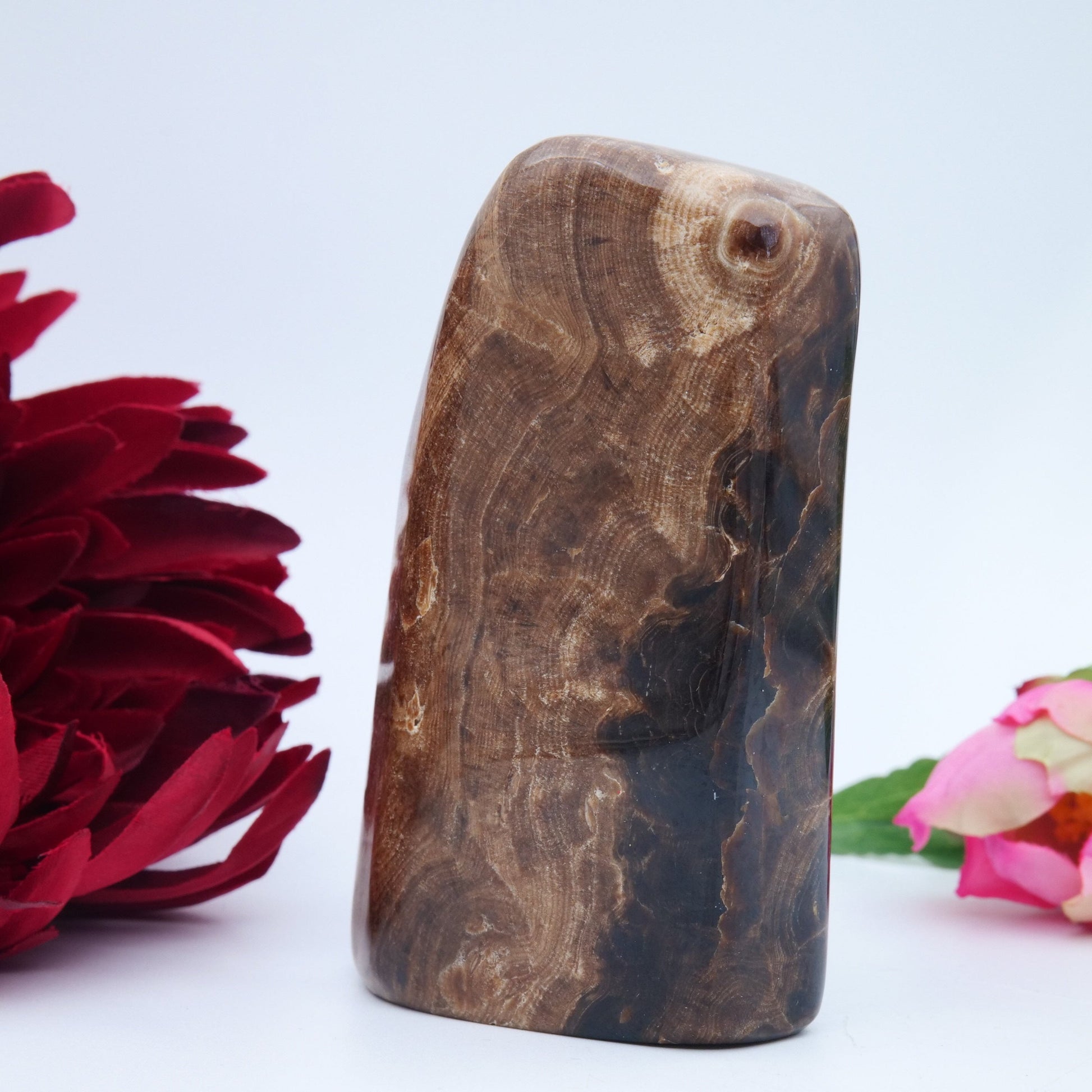 Chocolate Calcite Freeform — 508 g (103 mm) - Luna Panther