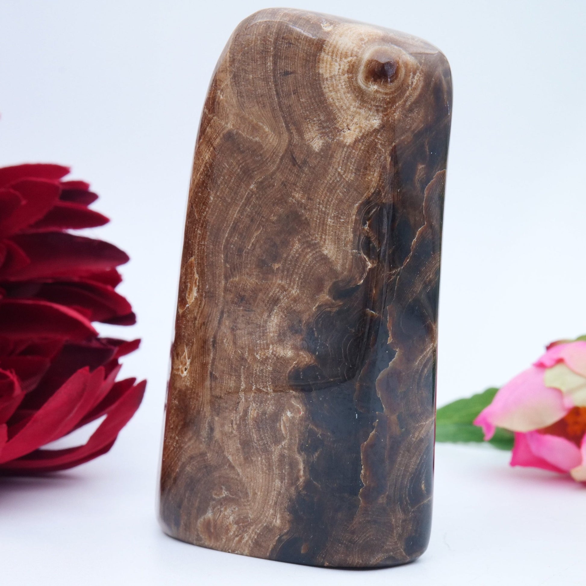 Chocolate Calcite Freeform — 508 g (103 mm) - Luna Panther