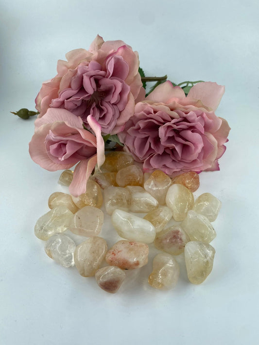 Polished Citrine - Tumble Stones featuring golden yellow tone and warm translucence - Luna Panther