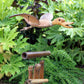 Coconut Duck Wind Chimes - Luna Panther