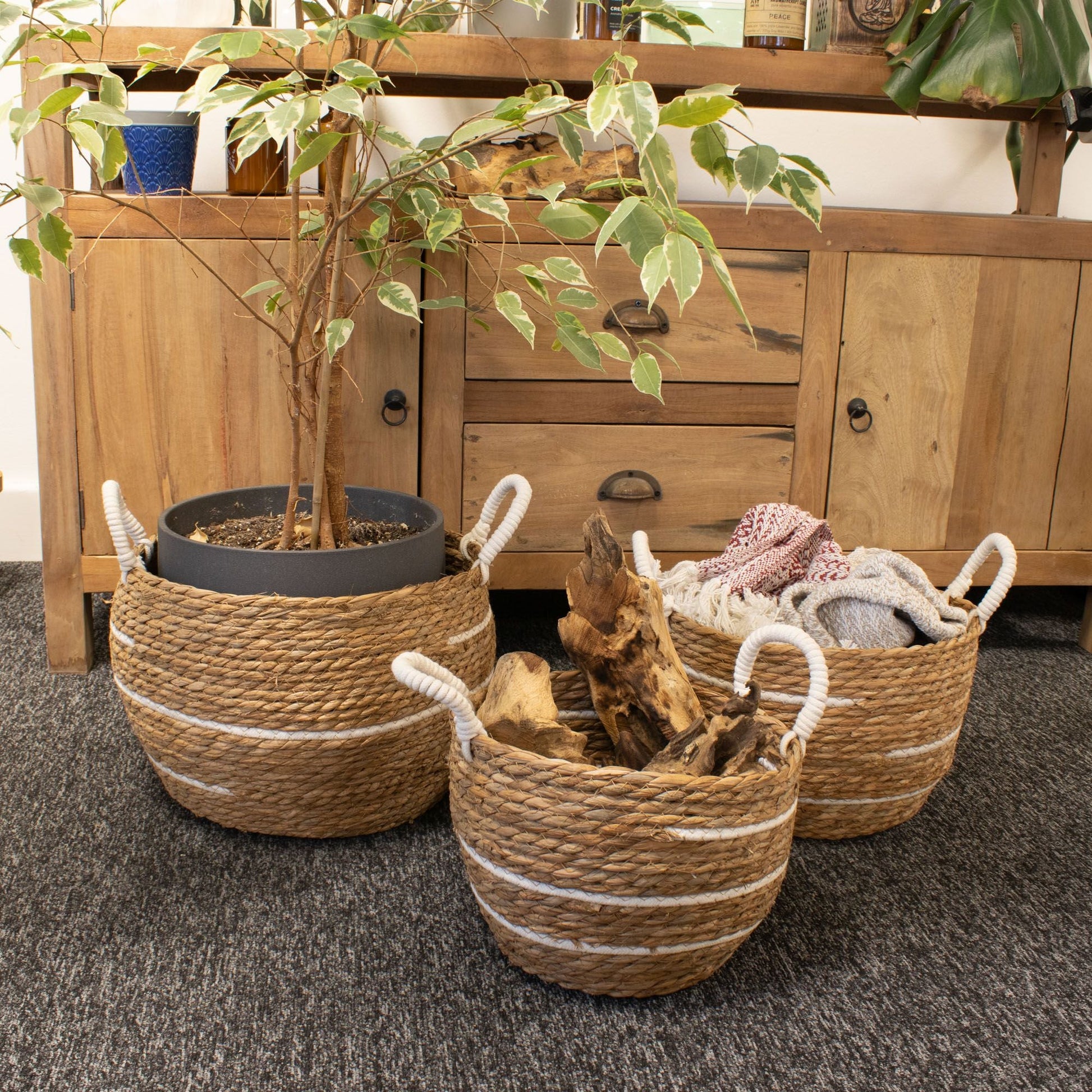 Cotton & Seagrass Large Baskets - Natural Stripes - Set of 3 - Luna Panther