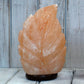 Polished Crafted Salt Lamp Fern 3X5X7 Inch featuring natural patterning and unique variations - Luna Panther
