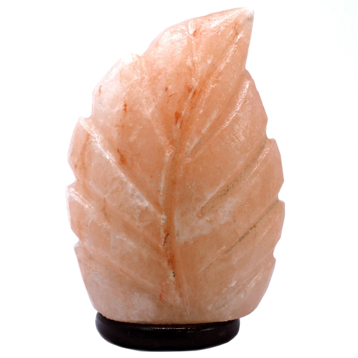 Polished Crafted Salt lamp - Fern 3x5x7 inch featuring natural patterning and unique variations - Luna Panther