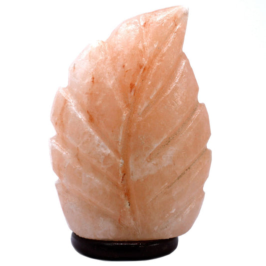 Polished Crafted Salt lamp - Fern 3x5x7 inch featuring natural patterning and unique variations - Luna Panther