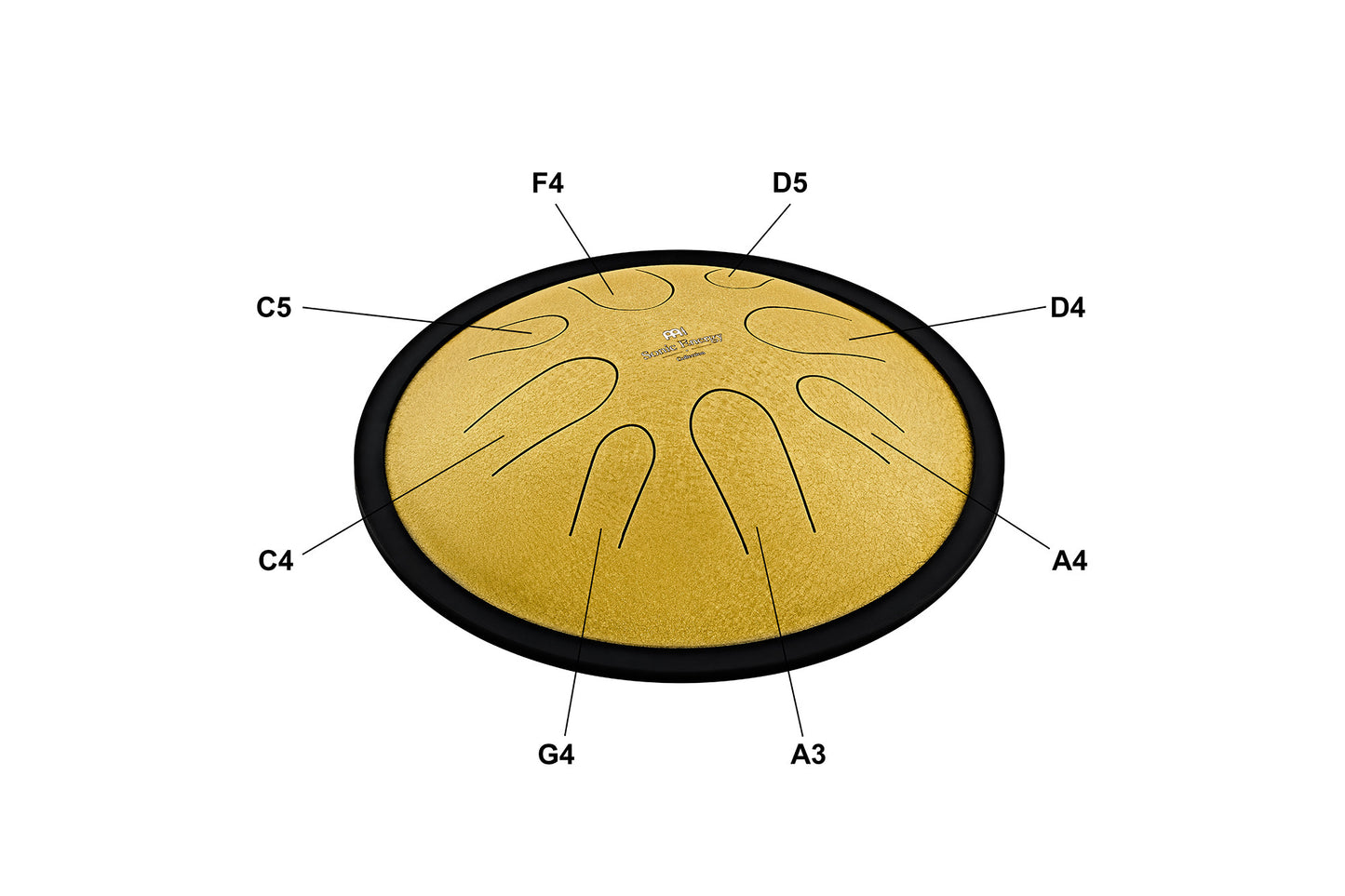 MEINL Sonic Energy Compact Steel Tongue Drum 10" - D Minor/8 Notes/432 Hz - Gold detail view 6 at Luna Panther