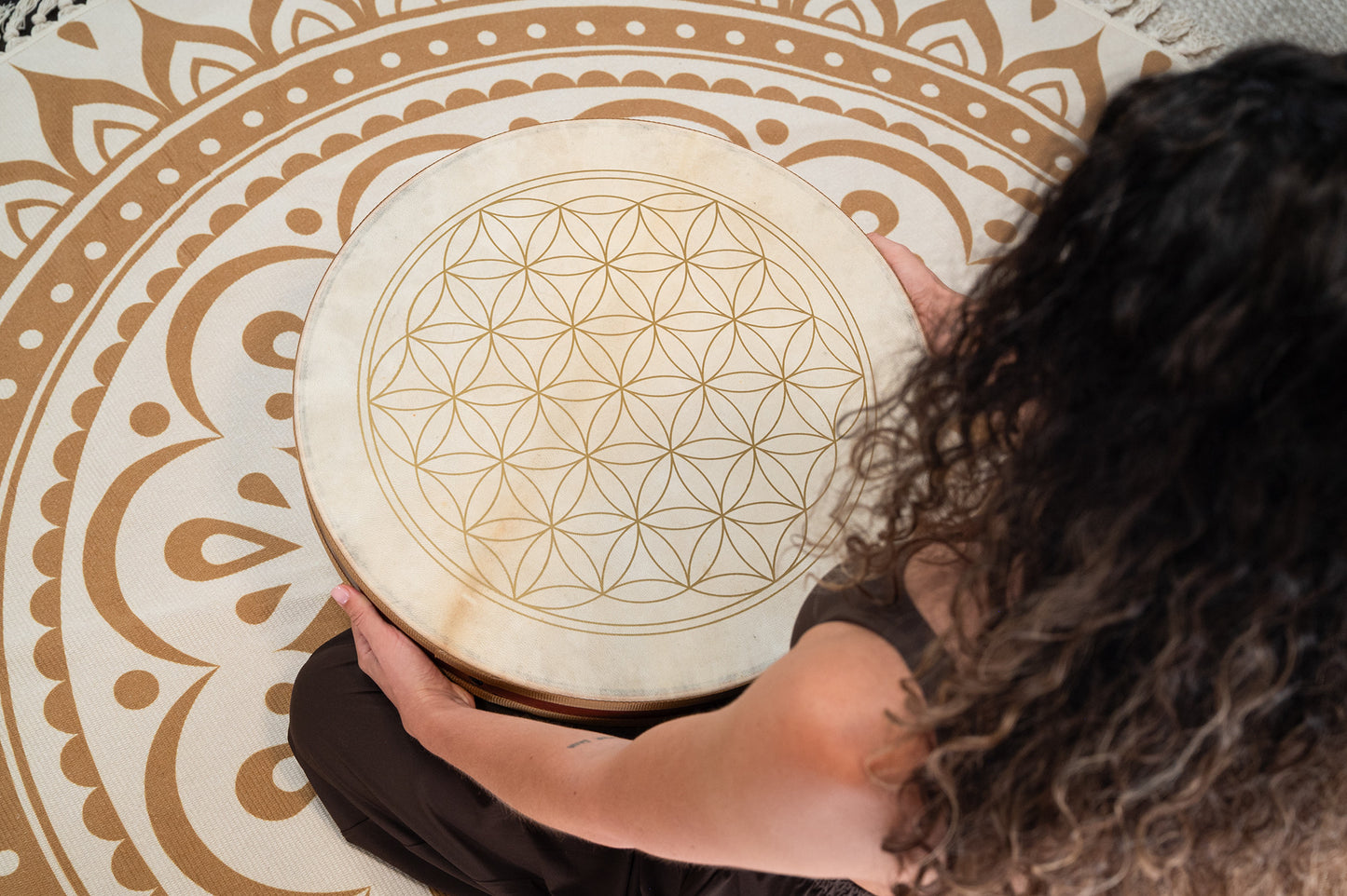 MEINL Sonic Energy 20" Flower of Life Wave Drum, goat heads detail view 3 at Luna Panther