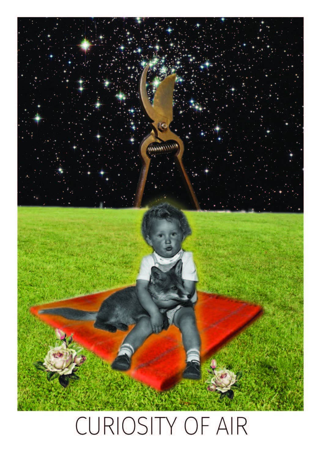 Rosebud Tarot: Flashcards; 96 pages / English