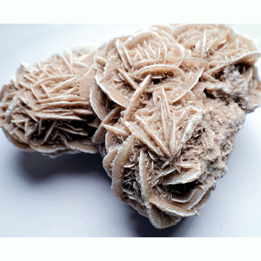 Desert Rose Gypsum - 527g - Luna Panther alternate view