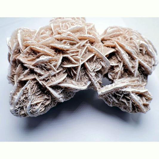 Desert Rose Gypsum - 527g - Luna Panther
