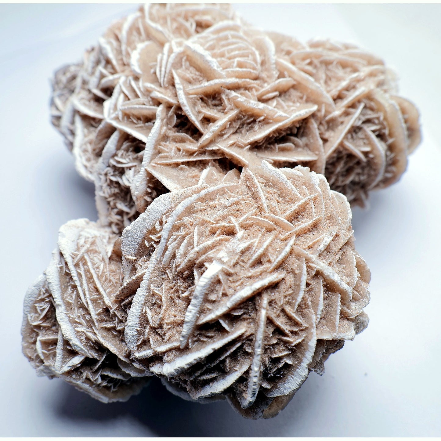 Desert Rose Gypsum - 527g - Luna Panther