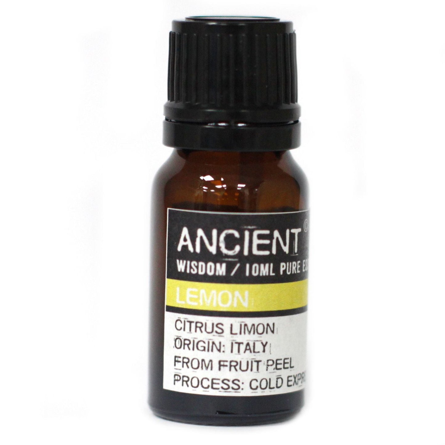 Diffuser Necklace and Essential Oils Set - Luna Panther