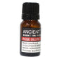 Diffuser Necklace and Essential Oils Set - Luna Panther