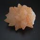 Dog Tooth Calcite Specimen 158g - Luna Panther