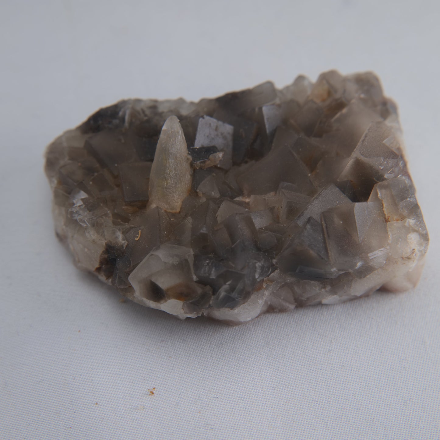 Dog Tooth Calcite Specimen 173g - Luna Panther