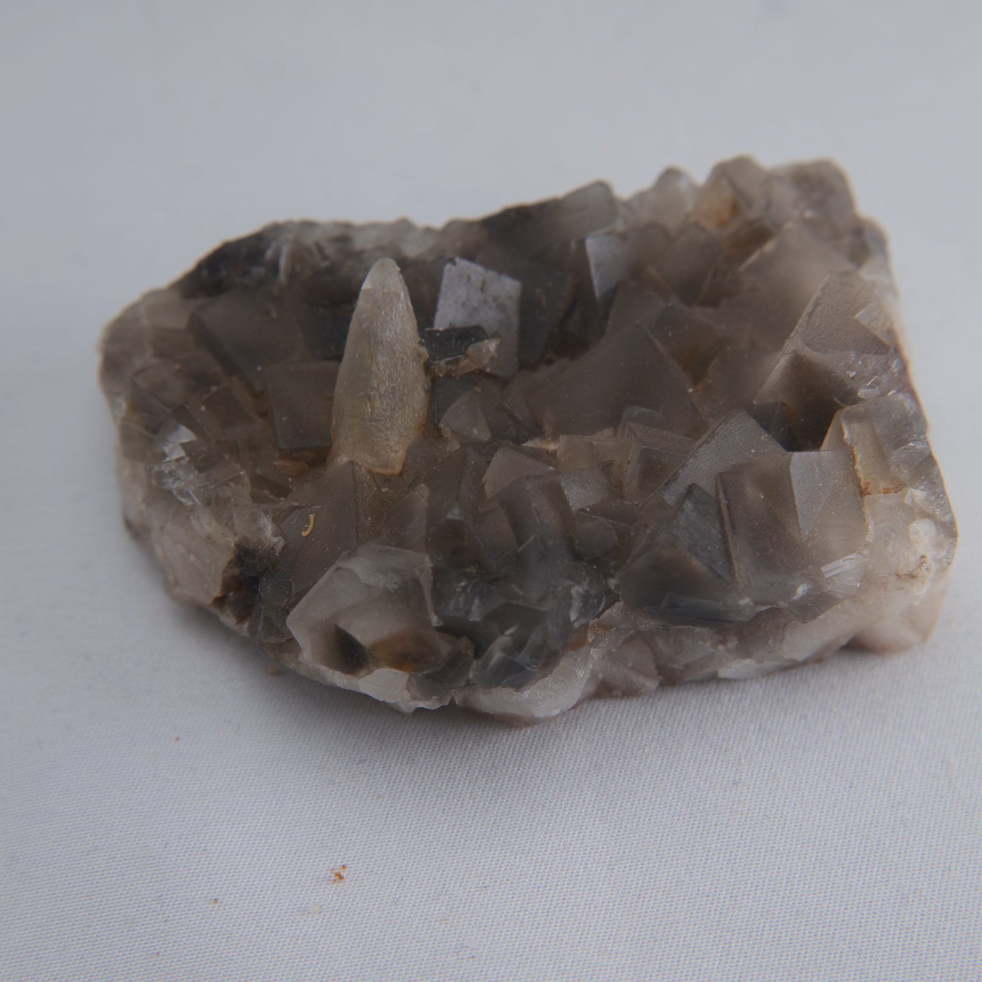Dog Tooth Calcite Specimen 173g - Luna Panther