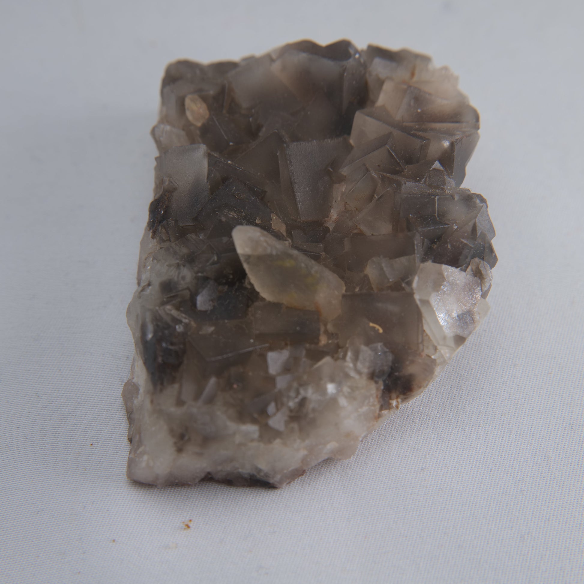 Dog Tooth Calcite Specimen 173g - Luna Panther