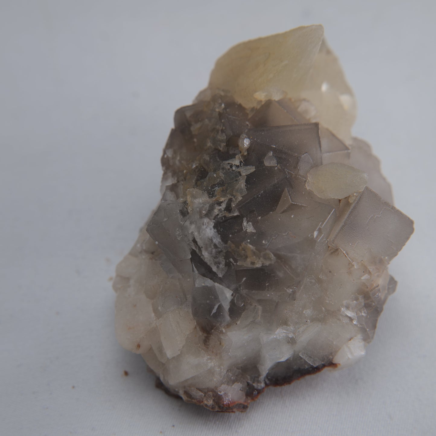 Dog Tooth Calcite Specimen 190g - Luna Panther